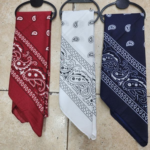 Bandanas Estampadas Paisley