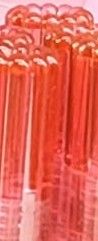 Brillo Labial Saniye Shimmer