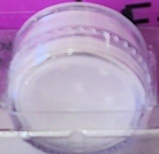 Polvo Volátil Mely Lasting Fix